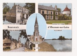 ( 45 ) OUZOUER SUR LOIRE Multivues - Ouzouer Sur Loire