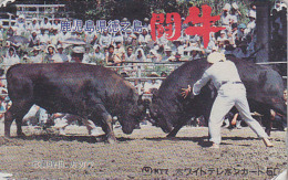 Rare Télécarte Japon - Animal - TAUREAU / Combat - BULL Fight Japan  Phonecard  - STIER Telefonkarte - 77 - Vaches