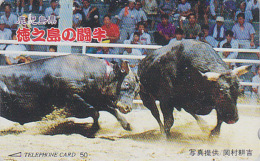 Rare Télécarte Japon - Animal - TAUREAU / Combat - BULL Fight Japan  Phonecard  - STIER Telefonkarte - 84 - Vaches