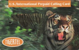 United States, TIGERTEL U.S./International Prepaid Calling Card, 2 Scans. - [3] Magnetkarten