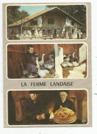 Cp , AGRICULTURE , Multi Vues , Ferme Landaise , La Gaveuse D'oie , L'égrenage Du Mais , écrite , Ed : Elcé N° 6486 - Fattorie