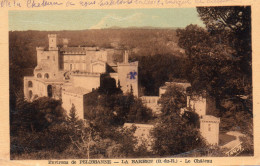 13 Environs De Pelissanne La Barben Le Chateau Colorisée - Pelissanne