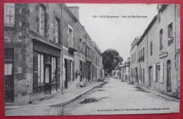 -- BAIS (Mayenne) - ROUTE DE SAINTE GEMMES -- - Bais