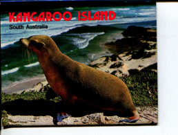 (Booklet 64) Australia - SA - View Folder (un-written) - Kangaroo Island - Kangaroo Islands