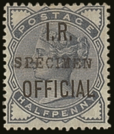 I. R. OFFICIAL 1885 ½d Slate- Blue Overprinted "SPECIMEN", SG O5s, Mint Small Part OG. Scarce. For More... - Otros & Sin Clasificación