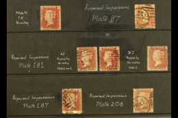 1858-79 REPAIRED  IMPRESSIONS. 1d Reds (SG 43/44) Used Group Of Repaired States, Comprising Plate 71 'TK' Re-entry... - Other & Unclassified