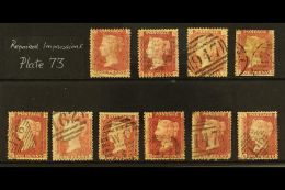 1858-79 PENNY RED REPAIRED  IMPRESSIONS. A Seldom Seen Specialised Group Of Plate 73 - 1d Reds SG 43/44 (GB... - Otros & Sin Clasificación
