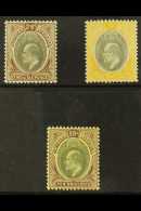 1903 - 04 Ed VII 2s 6d, 5s And 10s, SG 17/19, Very Fine And Fresh Mint. (3 Stamps) For More Images, Please Visit... - Nigeria (...-1960)