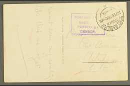 1915 (22 Feb) Stampless Colour Ppc Of Zebra's To Uitenhage With Very Fine "ARMY BASE P.O / 4 / SOUTH AFRICA" Cds... - Südwestafrika (1923-1990)