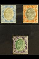 TRANSVAAL 1904 - 09 2½d, 6d And £1 On Chalk Paper, SG 253b, 266a, 272a, All Very Fine And Fresh Mint.... - Zonder Classificatie