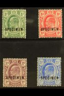 TRANSVAAL 1905 - 9 Ed VII New Colours Set To 2½d, Ovptd "Specimen", SG 273s/6s, Very Fine Mint. (4 Stamps)... - Zonder Classificatie