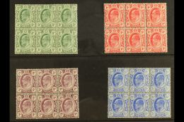 TRANSVAAL 1905-09 KEVII Set, SG 273/76, In Very Fine Mint BLOCKS OF SIX (3 X 2), At Least 4 Stamps In Each Block... - Zonder Classificatie