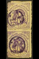 NATAL NATAL GOVERNMENT RAILWAY 1880 1d Violet Used Vertical Pair With Circular Violet Cancels Of 16th May 1911.... - Ohne Zuordnung