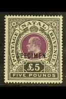 NATAL 1904 £5 Mauve And Black, Ed VII, Ovpted "Specimen", SG 144s, Very Fine And Fresh Mint. Superb. For... - Ohne Zuordnung