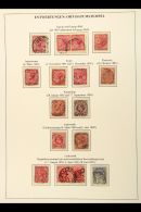 NATAL - FABULOUS POSTMARKS COLLECTION A Fine Collection Of CDS Postmarks Displayed On QV (to 1s) And KEVII (to 5s)... - Unclassified