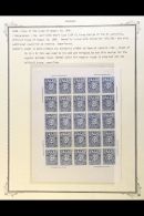 OFFICIALS 1886 COLOUR TRIAL PROOF Of The 5c Value (as Sc O3, SG O34) In Blue On Thick Surfaced Paper - A COMPLETE... - Paraguay
