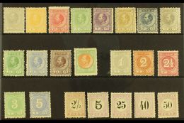 SURINAM 1873-1890 KING WILLIAM III Mint & Unused Selection On A Stock Card. Includes 1873 Definitive Range... - Andere & Zonder Classificatie