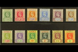 1902-05 KEVII Definitives (wmk Crown CA) Complete Set, SG 45/56, Fine Fresh Mint. (12 Stamps) For More Images,... - Gambia (...-1964)