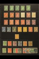 1891-1935 ALL DIFFERENT MINT SELECTION On A Stock Page. Includes 1891-1902 QV Range With All Values To 1s With A... - Falkland