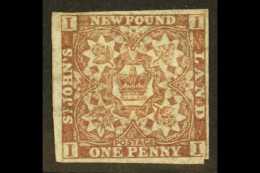 1862-64 1d Chocolate- Brown Imperf, SG 16, Mint With 4 Margins, Part OG. For More Images, Please Visit... - Otros & Sin Clasificación