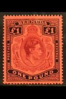 1938 £1 Purple & Black On Red, Perf 14, SG 121, Never Hinged Mint. For More Images, Please Visit... - Bermuda