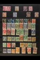 1849-1980's RANGES On Stock Pages, Mint (some Never Hinged) & Used, Inc 1849 10c (4 Margins) & 20c (x2,... - Otros & Sin Clasificación