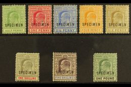 1902-6 Ed VII Set To £1, Wmk CA, Overprinted "Specimen", SG 62s/70s, 71s, Very Fine Mint. Scarce Set. (8... - Otros & Sin Clasificación