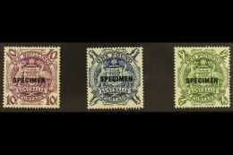 1949-50 "Arms" High Values Overprinted "SPECIMEN" Set, SG 224bs/ds, Never Hinged Mint. (3 Stamps) For More Images,... - Andere & Zonder Classificatie