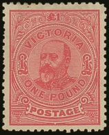 VICTORIA 1900-10 £1 Rose Perf 11, SG 407, Very Fine Mint, Slightly Short Perf At Left. For More Images,... - Sonstige & Ohne Zuordnung
