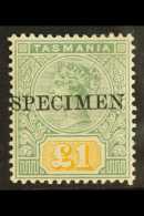 TASMANIA 1892 £1 Green And Yellow, SG 225, Very Fine And Fresh Mint Ovptd "Specimen". For More Images,... - Sonstige & Ohne Zuordnung