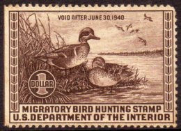 1939 $1 Duck Stamp, Sc RW6, Straight Edge & Blunt Corner For More Images, Please Visit... - Otros & Sin Clasificación