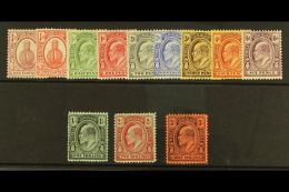 1909 Ed VII Set Complete, SG 115/26, Vf Mint. (12) For More Images, Please Visit... - Turks E Caicos