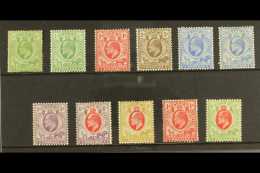 ORC 1903-09 Mint Range, Cat £117 (11 Stamps) For More Images, Please Visit... - Non Classificati
