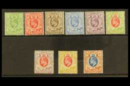 ORANGE RIVER COLONY 1903-04 Complete Set,SG 139/47,vfm,fresh (9) For More Images, Please Visit... - Ohne Zuordnung