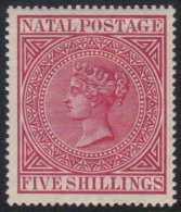 NATAL 1874-99 5s Carmine, SG 73, Vfm, Fresh For More Images, Please Visit... - Zonder Classificatie