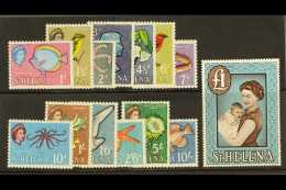 1961-65 Complete Definitive Set, SG 176/189, NHM (14) For More Images, Please Visit... - Isola Di Sant'Elena