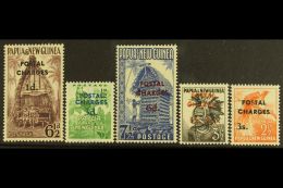 POSTAGE DUES 1960 Set, SG D2/D6, NHM, Fresh (5) For More Images, Please Visit... - Papoea-Nieuw-Guinea