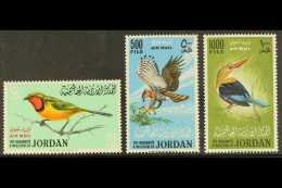 1964 Air Birds Complete Set, SG 627/29, Vfm, Fresh (3) For More Images, Please Visit... - Giordania