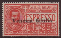 VENEZIA GIULIA 1919 25c Express, Sass 1, VFM For More Images, Please Visit... - Zonder Classificatie