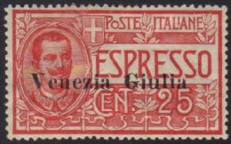 VENEZIA GIULIA: EXPRESS 1919 25c Rose, Sass 1, VFM For More Images, Please Visit... - Ohne Zuordnung