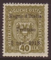 TRENTINO 1918 40h Olive, Sass 10, VFM For More Images, Please Visit... - Sin Clasificación
