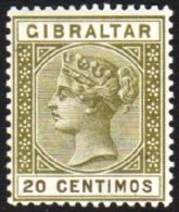 1889 20c Olive And Brown, SG 24, Superb Mint. For More Images, Please Visit... - Gibraltar