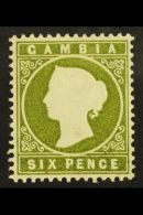 1886-93 6d Yellowish Olive-green, SG 32, VFM. For More Images, Please Visit... - Gambia (...-1964)