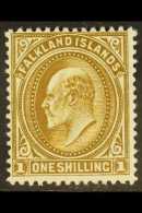 1904-12 1s Brown Wmk MCA SG 48 VFM For More Images, Please Visit... - Islas Malvinas