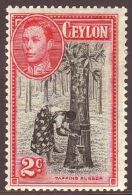 1938 2c Perf 13½ X 13 SG 386a, Vf Mint. For More Images, Please Visit... - Ceylon (...-1947)