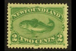 1896 2c Green Codfish, SG 64, Vf Mint. For More Images, Please Visit... - Andere & Zonder Classificatie