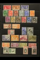 1937-52 VFM KGVI Collection To Both £1 Values. Lovely (30+) For More Images, Please Visit... - British Virgin Islands