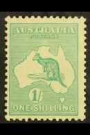 1929-30 1s Blue-green Roo, SG 109, Fine Mint, Very Fresh For More Images, Please Visit... - Other & Unclassified