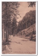 Ilsenburg, Harz, Blick Nach Dem Ilsenstein - Ilsenburg