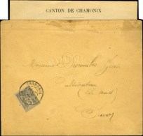 Càd CHAMONIX / N° 87 Sur Imprimé électoral Avec Bulletin. 1904. - TB. - 1876-1878 Sage (Typ I)